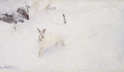 Bruno Liljefors, Juokseva jänis, 1892, öljyväri kankaalle, Gösta Serlachiuksen taidesäätiö. Kuva: Yehia Eweis