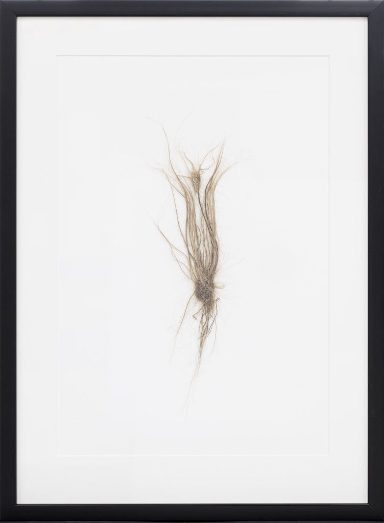 Attached on a white paper base, a delicate herbaceous plant-like item constructed from human hair.