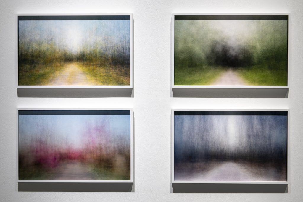 Eeva Karhu, teossarja Path Moments, 2019–21, pigmenttivedokset, taiteilijan omistuksessa. Kuva: Sampo Linkoneva