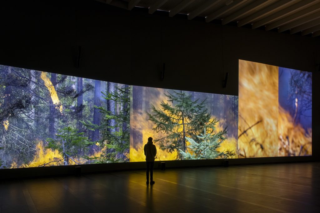 Eija-Liisa Ahtila, Reflection of a Forest, 2024, 8-channel installation with changing number of projections. Courtesy of Gösta Serlachius Fine Arts Foundation. Photo: Sampo Linkoneva, Serlachius