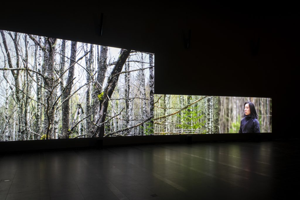 Eija-Liisa Ahtila, Reflection of a Forest, 2024, 8-channel installation with changing number of projections. Courtesy of Serlachius. Photo: Sampo Linkoneva, Serlachius