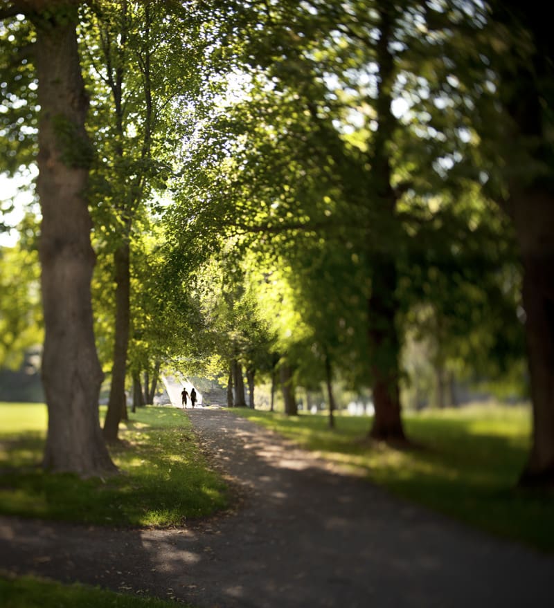 Kaksi ihmistä kävelee puistossa puiden varjossa sillalle menevällä polulla.