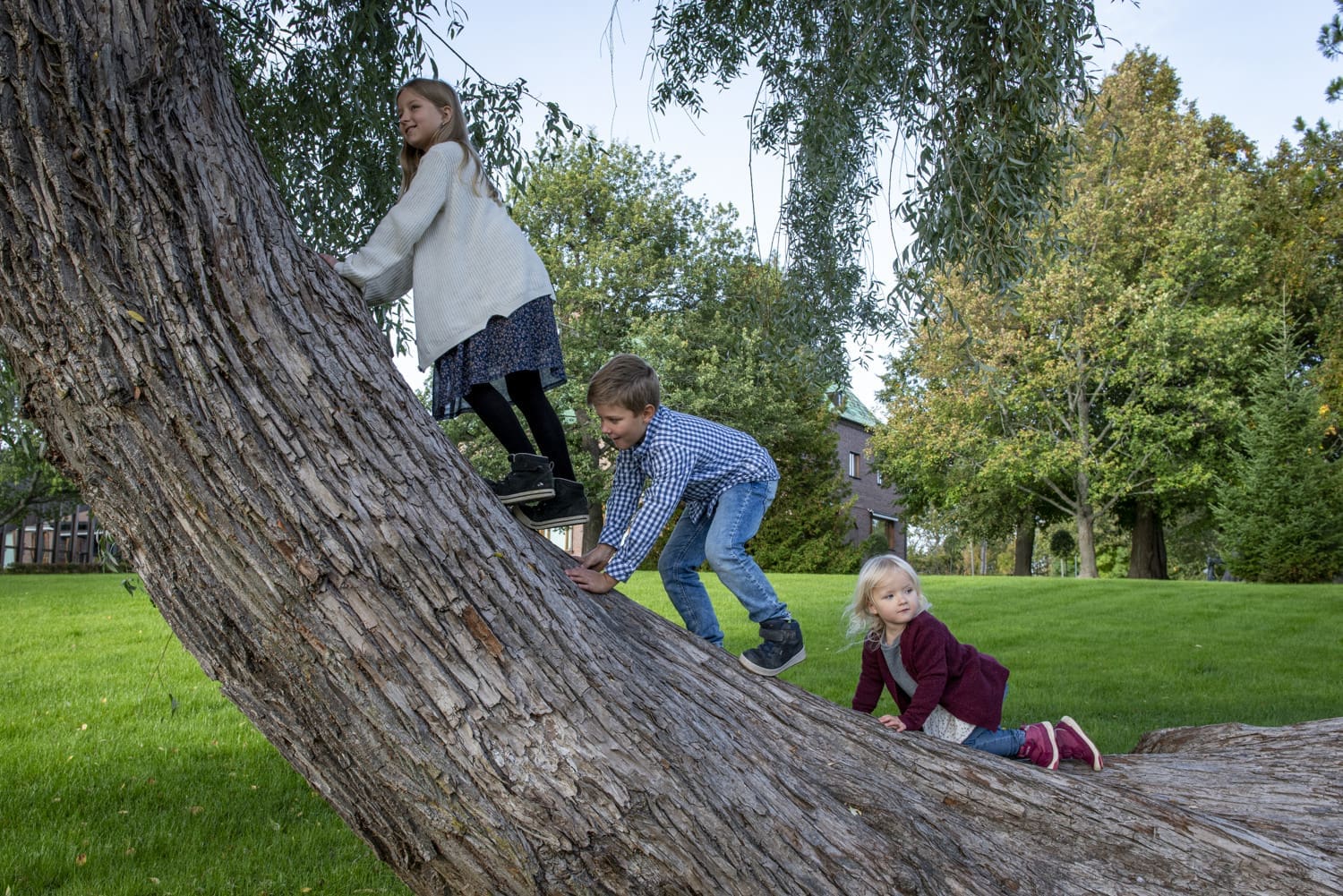 Kolme lasta kiipeilee maahan kaartuvalla puunrungolla.