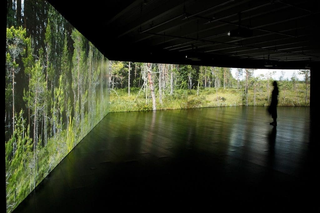 Agnes Meyer-Brandis, As Trees Go By, 5-channel video installation, 5 x 4K, 2021–2025. © Agnes Meyer-Brandis, VG-Bild Kunst, 2025