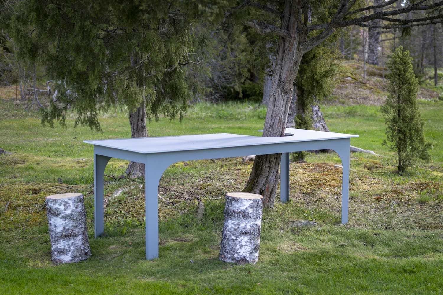 Kuvassa puuta ympäröi harmaa pöytä, ja pöydän vieressä on kaksi koivupölkkyä jakkaroina.