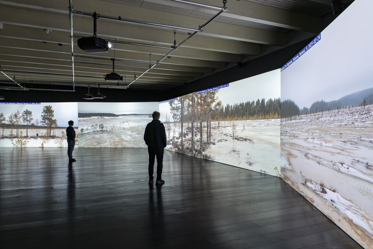 Agnes Meyer-Brandis, Kun puut vaeltavat, 2021–2025, 5-kanavainen videoinstallaatio. Yleiskuva näyttelystä: Serlachus, Sampo Linkoneva