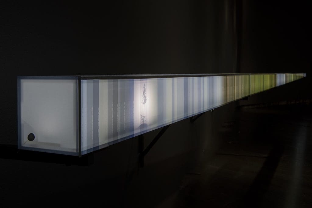 Agnes Meyer-Brandis, Migration Route, Siikaneva peatland, tree #228, 2023–2024, mixed media. Photo: Serlachius, Sampo Linkoneva