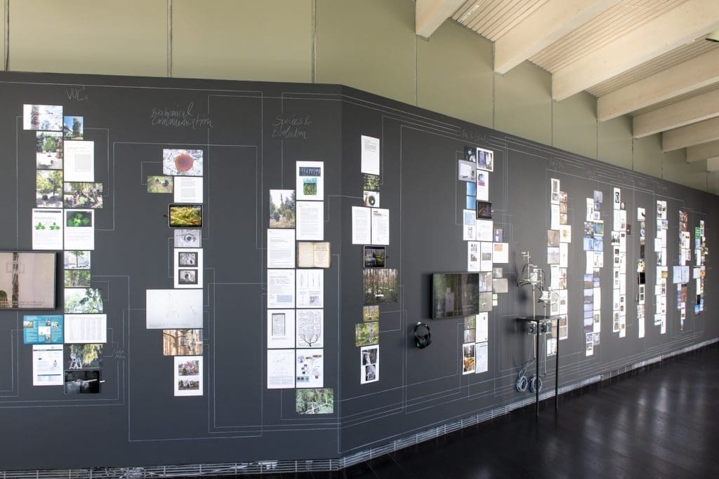 Agnes Meyer-Brandis, Subsurdum, 2010/2025, wall collage. Photo: Serlachius, Sampo Linkoneva