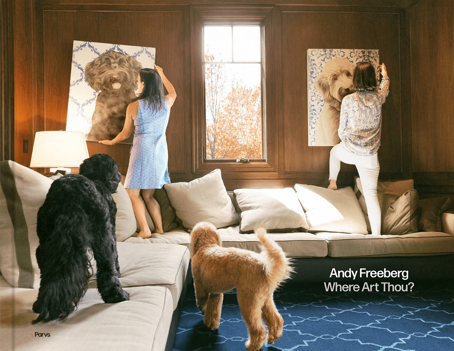 Andy Freeberg