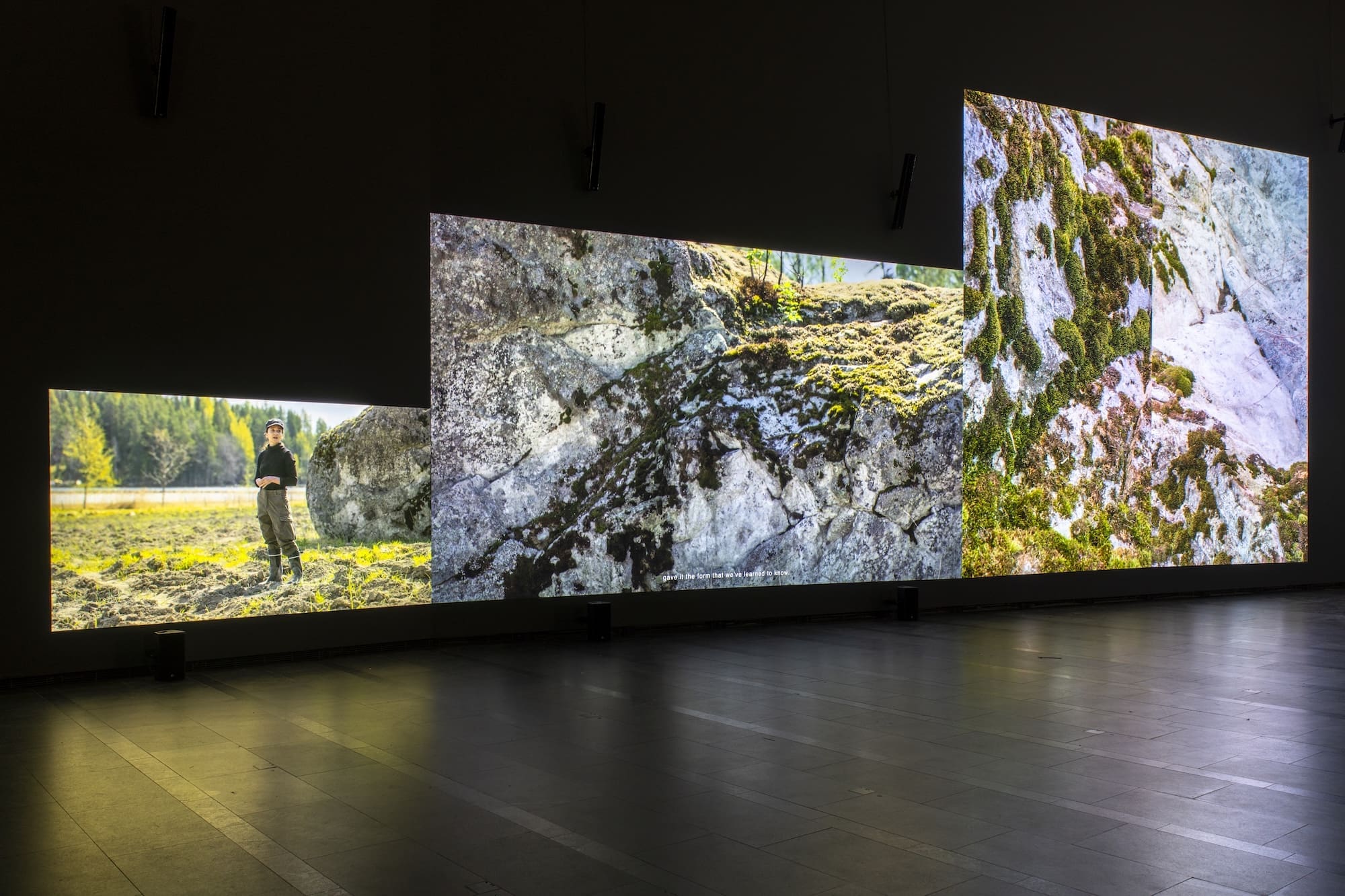 Eija-Liisa Ahtila, Reflection of a Forest, 2024, 8-channel installation with changing number of projections. Courtesy of Gösta Serlachius Fine Arts Foundation. Photo: Sampo Linkoneva, Serlachius
