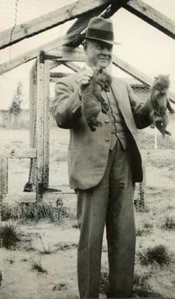 Gösta Serlachius roikottaa kahta ketunpoikasta vanhassa valokuvassa.