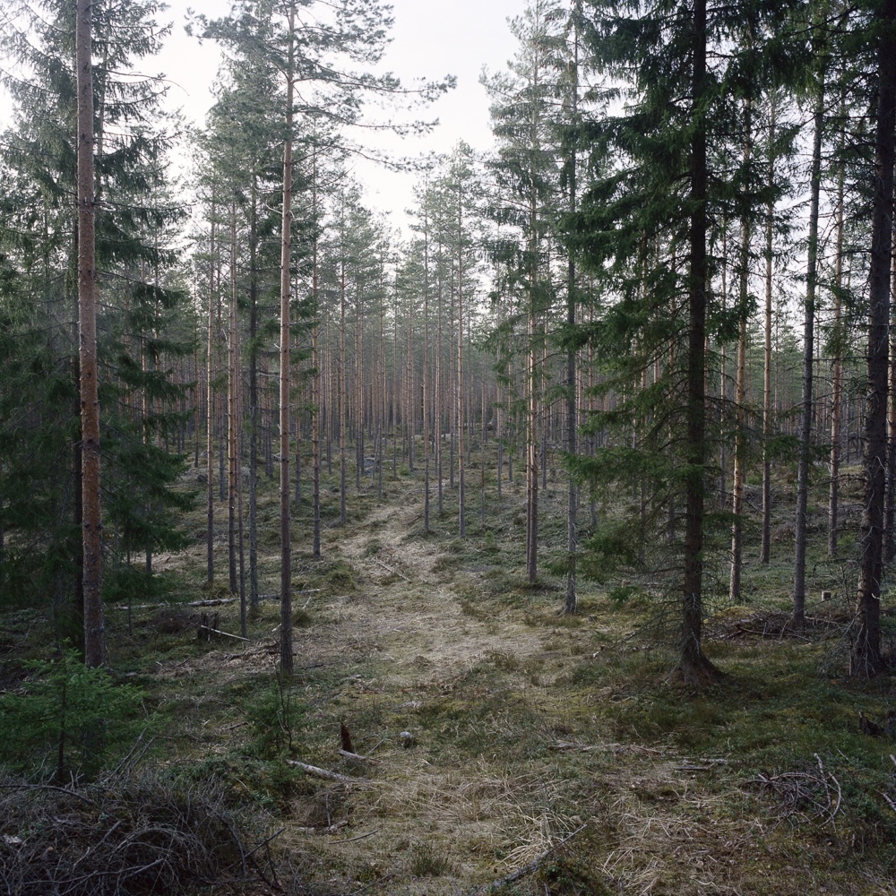 Residenssin näyttely