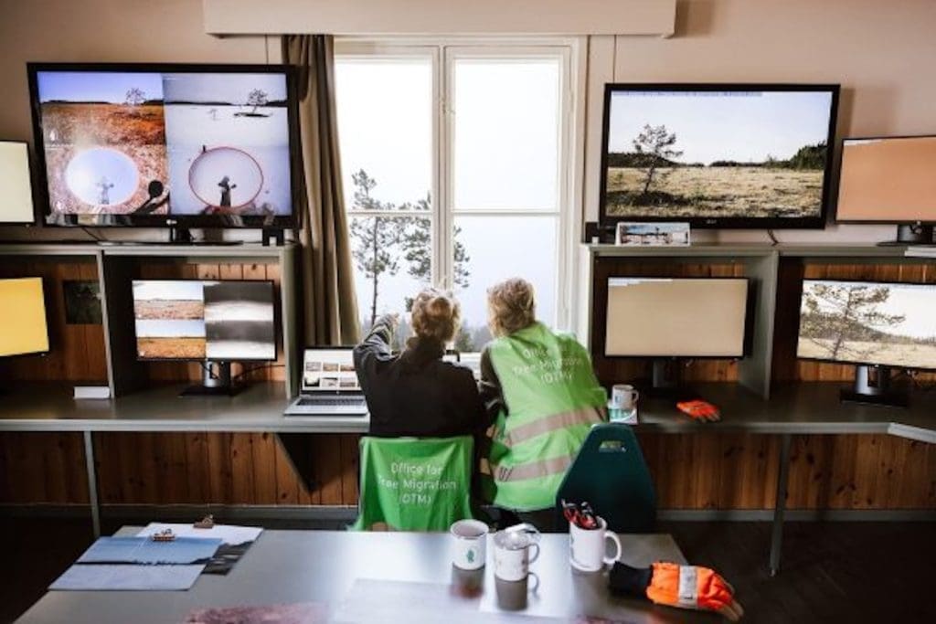 Agents from the Office for Tree Migration at the Hyytiälä forest station. The office’s monitors observe wandering trees around the world. Photo: Office for Tree Migration – Hyytiälä, © Krista Ylönen 2024.