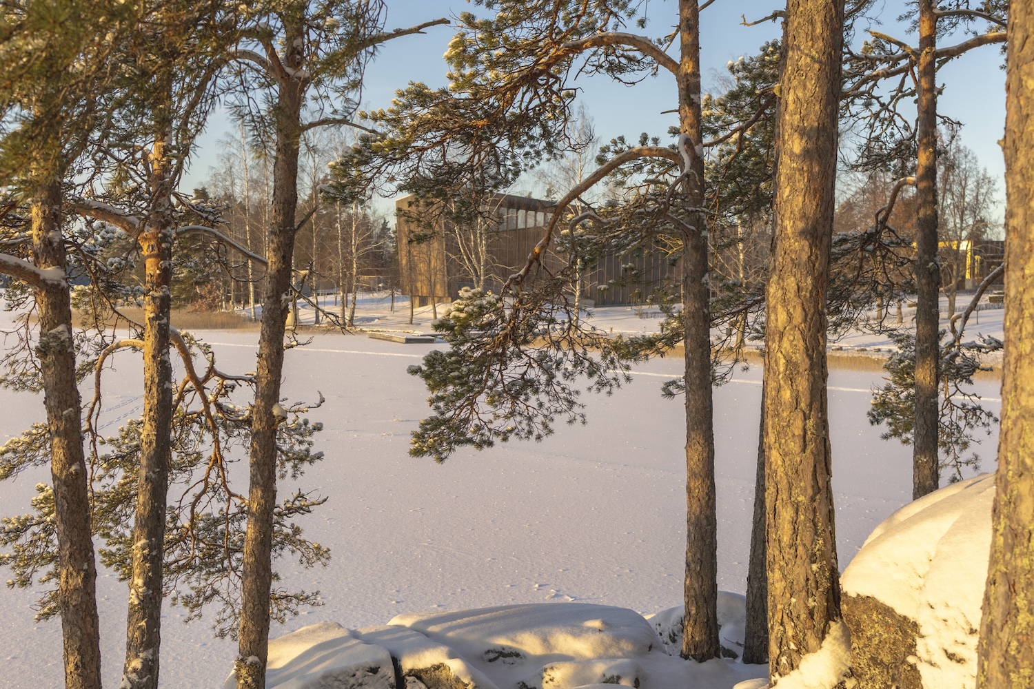 Lumisessa maisemassa puiden runkojen takaa näkyy Serlachius Kartano ja järven selkää.
