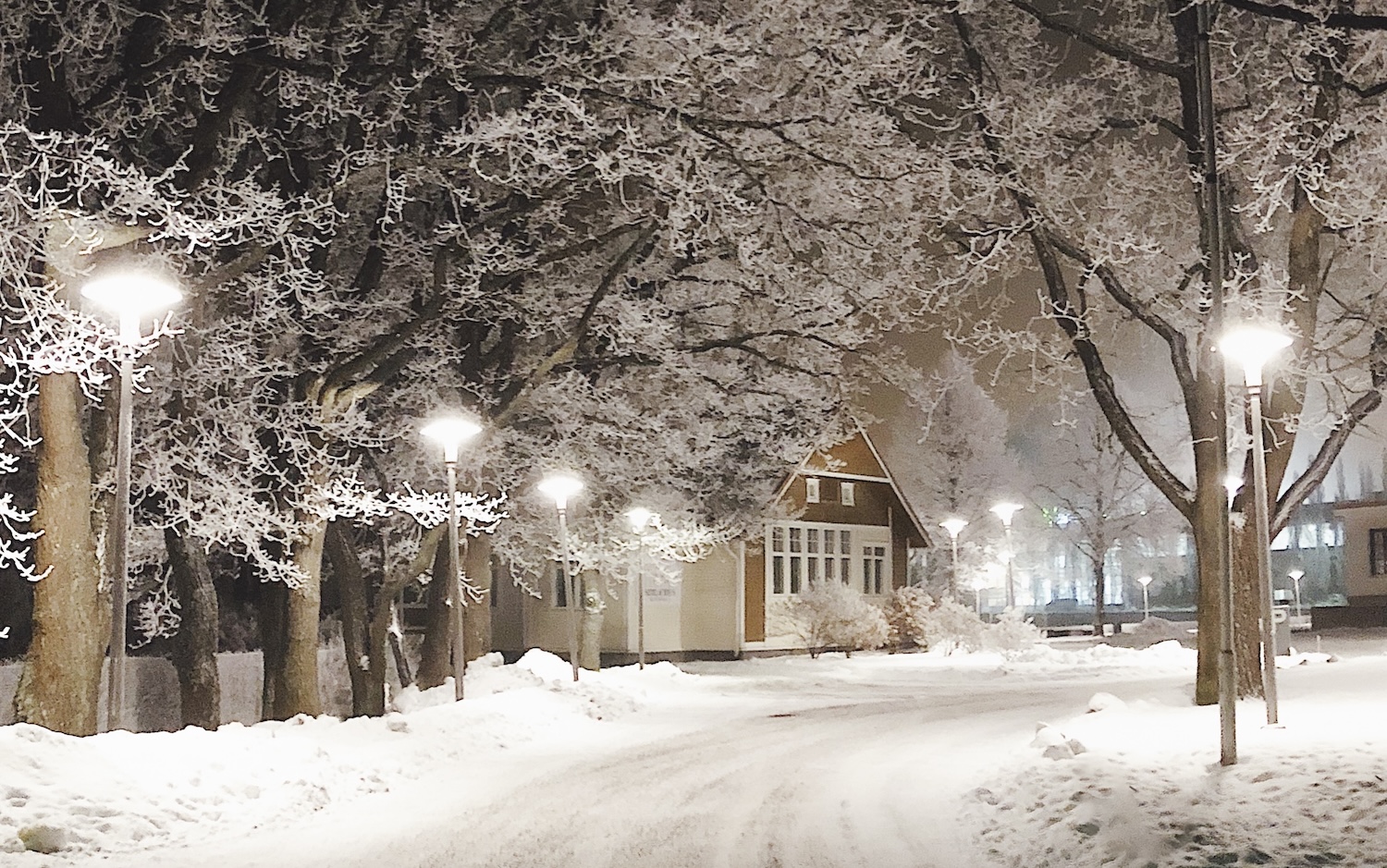 Lumen peittämä katunäkymä.